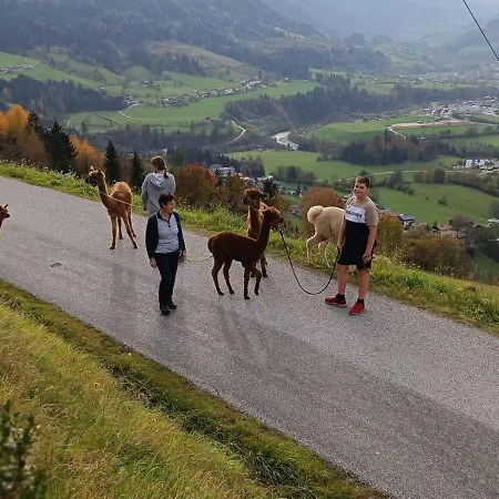 Appartementhaus Eisbauer Lejlighed Sankt Johann im Pongau